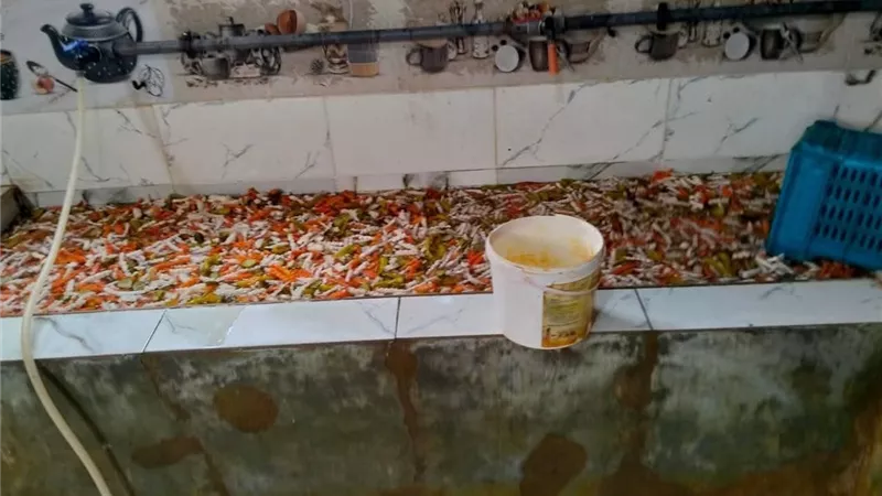 في حملة تموينية بمدينة قلين..ضبط 9 أطنان جبنه رومي مجهولة المصدر | صور