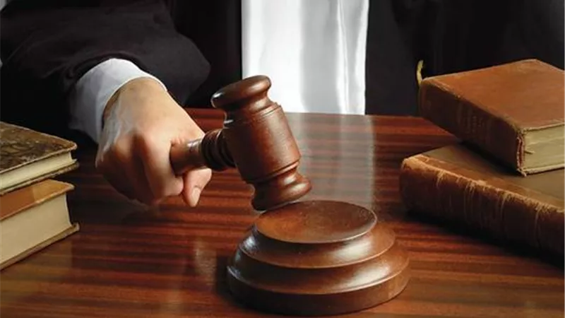 تأجيل محاكمة 17 متهما في قضية خلية الهيكل الإداري للإخوان لـ 7 يناير