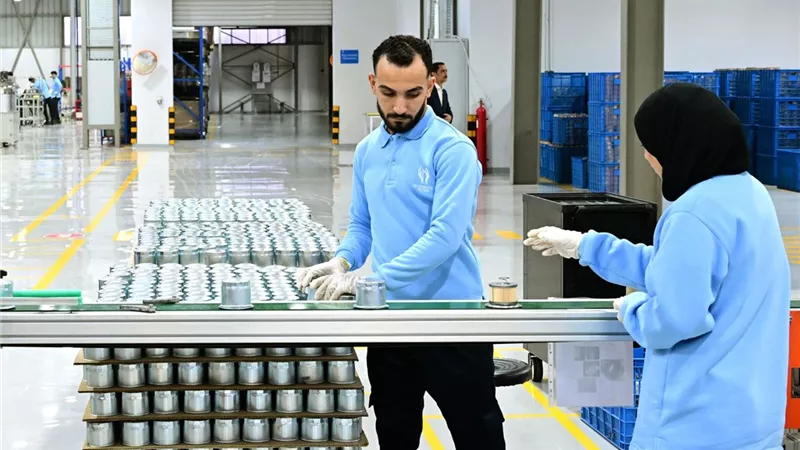 استثمارات بـ200 مليون دولار.. أول مصنع في مصر لإنتاج سيانيد الصوديوم