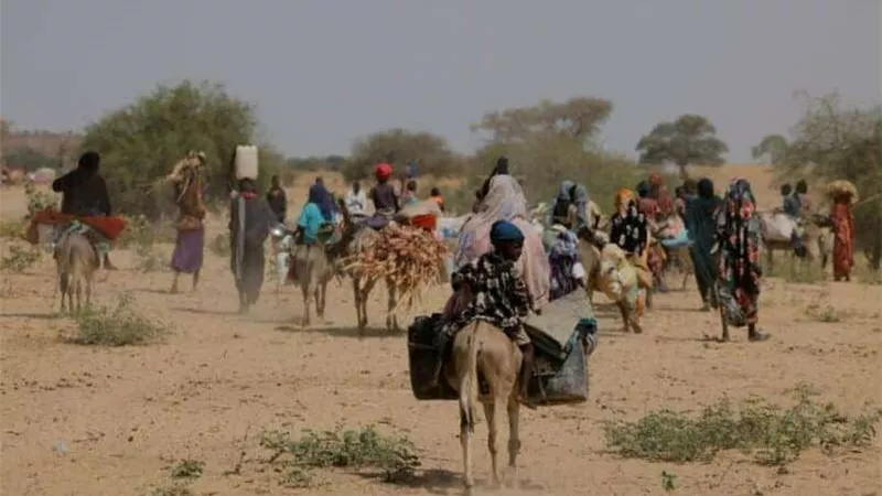 الطويلة.. مدينة تشادية تئن تحت وطأة النزوح ومأساة الفارين من دارفور