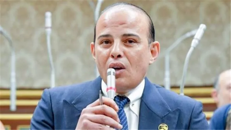 عضو بـ«النواب»: التصنيف الدولي لـ«القومي لحقوق الإنسان» إنجاز وطني جديد