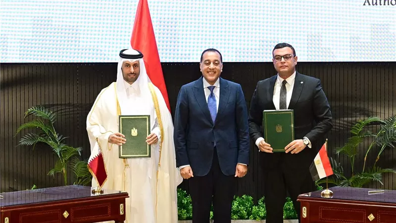 محمد قاعود: 