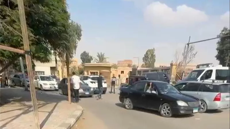 حملة موسعة لضبط الخارجين عن القانون وإعادة الانضباط للشارع في المعصرة|صور