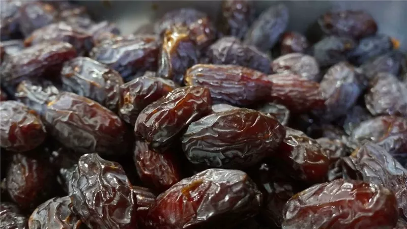 بصادرات 100 مليون دولار.. انطلاق المهرجان الدولي الثامن بالواحات البحرية السبت 