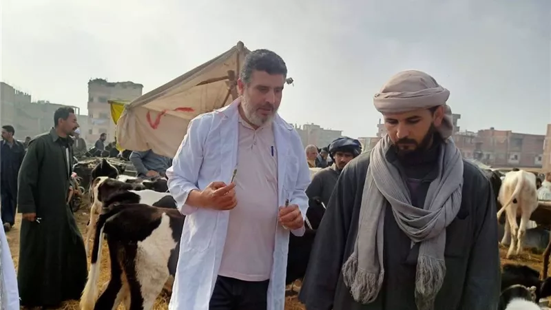 بيطري الشرقية: استمرار فاعليات الحملة القومية للتحصين ضد الحمى القلاعية| صور
