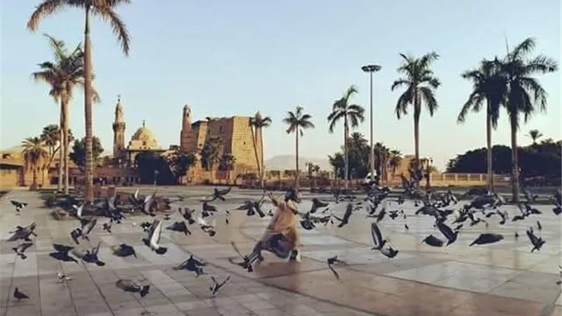 طقس الأقصر اليوم.. خريفي مائل للبرودة صباحا والعظمى 24