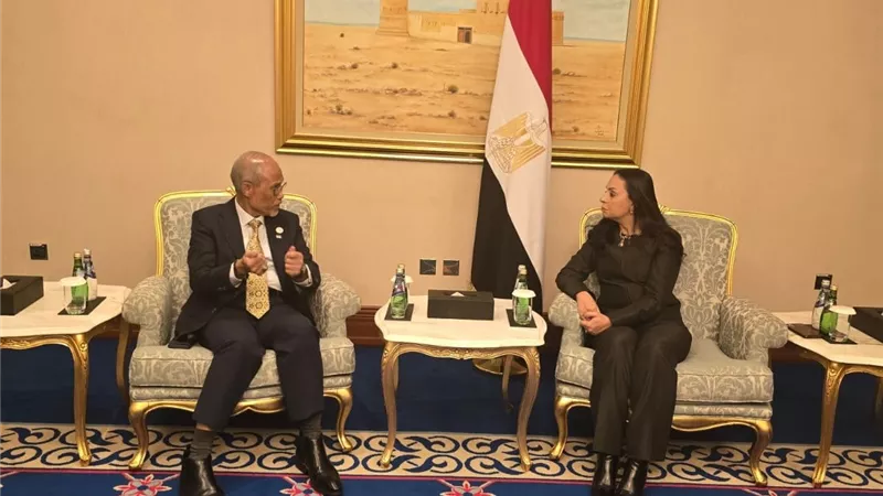 مصر وسنغافورة تبحثان تبادل الخبرات في تنمية الطفولة المبكرة