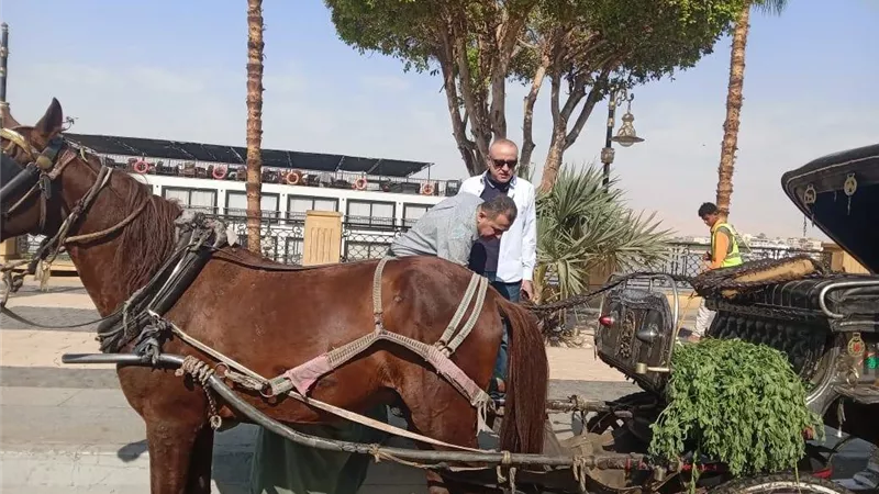 محافظ الأقصر يتفقد عربات الحنطور على كورنيش النيل|صور
