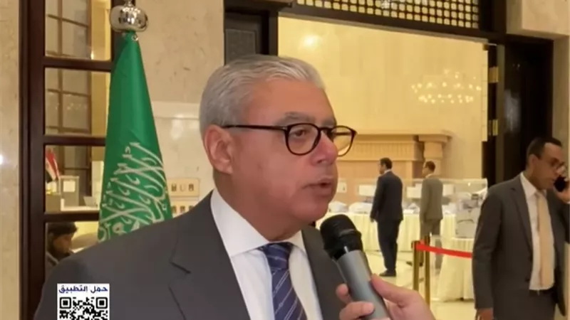 السفير المصري بالرياض يؤكد اعتماد نظام المناوبات في تصويت النواب|فيديو