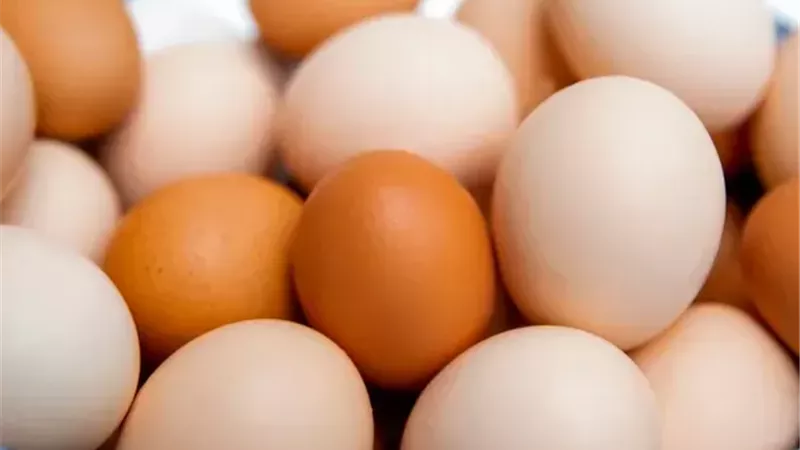 أبرزهم اللحوم والشاي.. 5 أطعمة ومشروبات تجنبها مع البيض