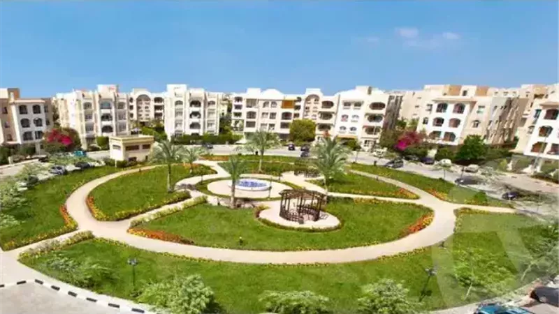 اليوم أولى جلسات محاكمة الملاكم المتهم في واقعة «أسرة نادي الشيخ زايد»