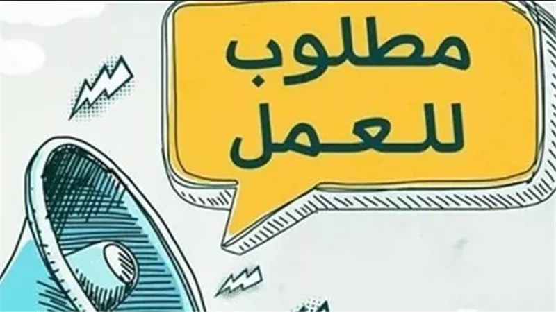 بمرتبات تصل إلى 11 ألف جنيه.. 65 فرصة عمل بجنوب سيناء وأسوان