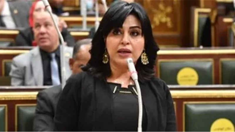 أمين سر «إعلام النواب»: قوافل غزة ترجمة عملية للسياسة المصرية