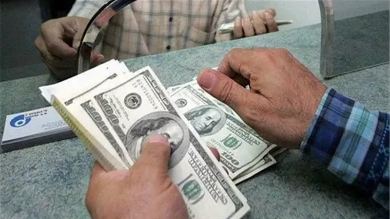 الأخضر بكام النهارده؟.. استقرار سعر الدولار أمام الجنيه في البنوك