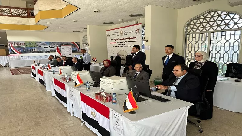 علاء ثابت: تسهيلات لضمان تيسير التصويت للمصريين بألمانيا|فيديو