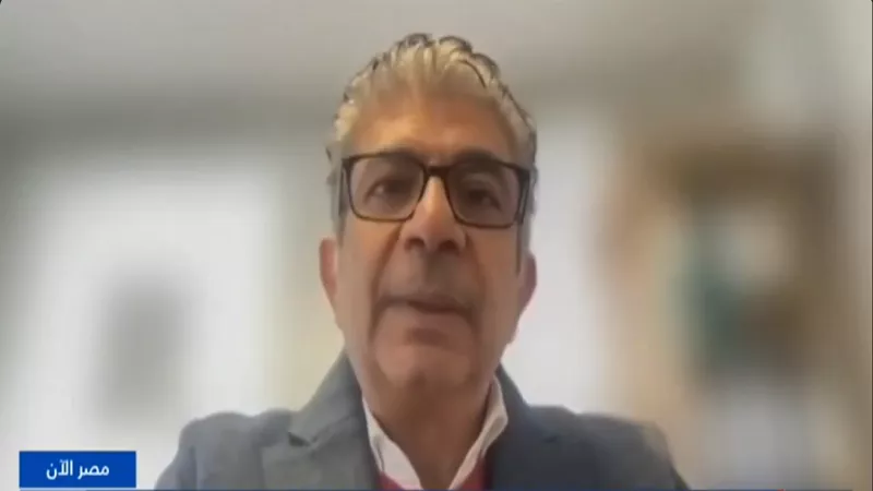 رئيس المنظمة المصرية الألمانية: العملية الانتخابية تسير على قدم وساق|فيديو