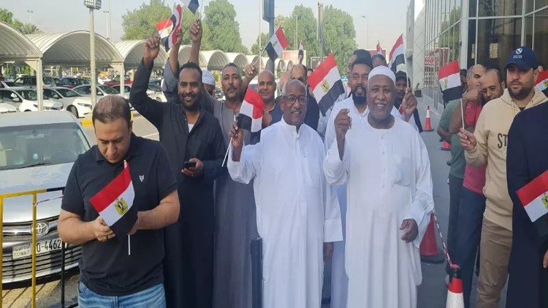 اتحاد المصريين بالخارج: لا مخالفات خلال يومي انتخابات النواب| فيديو
