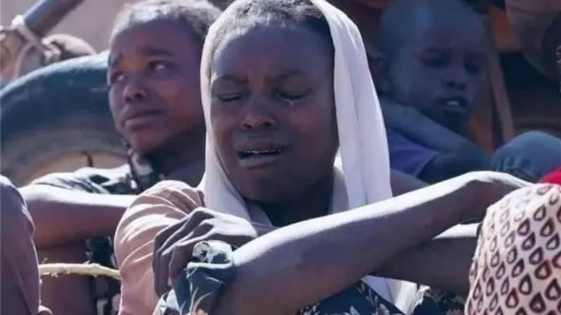 معتز الفحل: الدعوات إلى الهدنة في السودان «كلمة حق يراد بها باطل»| فيديو