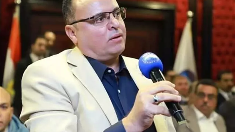 جمال الخضري: المشهد الانتخابي للمصريين بالخارج يليق بالشعب والوطن