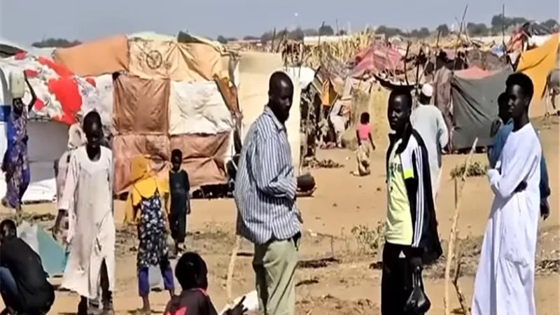  مدينة الفاشر تعيش أوضاعًا إنسانية كارثية غير مسبوقة|فيديو