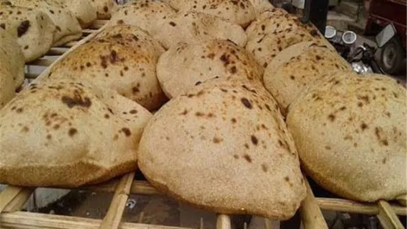 ضبط صاحب مخبز بالمحلة استولى على أجولة دقيق مدعم وباعها بالسوق السوداء