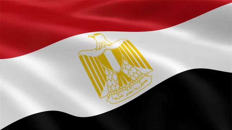 انخفاض صادرات مصر لبعض السلع في أغسطس 2025.. أبرزها البترول والأسمدة