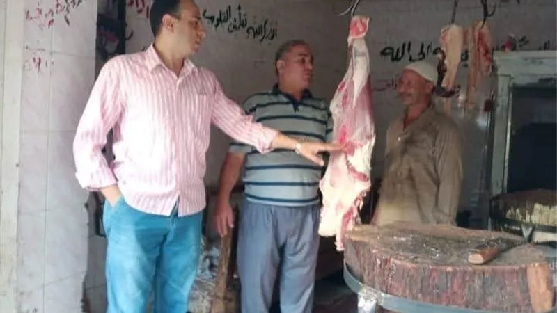 تموين المنيا: ضبط 174 مخالفة خلال حملات تفتيشية لمواجهة التلاعب بالسلع 