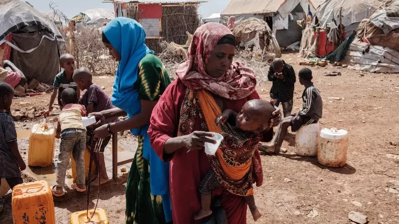 لمواجهة المجاعة.. منصة جديدة تعيد رسم خريطة الأمن الغذائي في إفريقيا