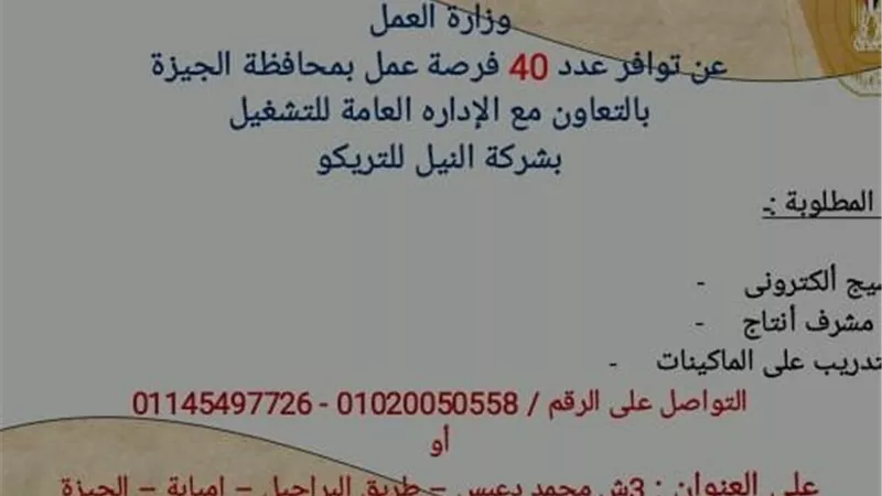 وزارة العمل: 40 فرصة عمل جديدة بمحافظة الجيزة