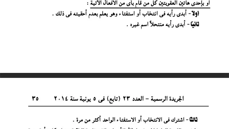 الحبس والغرامة عقوبة لمن يدلى بصوته الانتخابي أكثر من مرة
