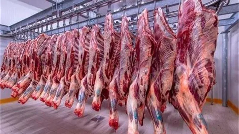 البلدي بكام؟.. تراجع جديد في أسعار اللحوم اليوم الاثنين 10 نوفمبر 