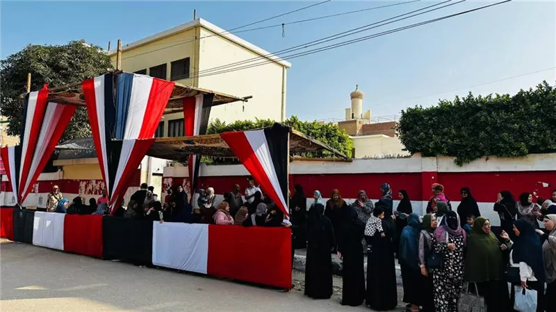 المصري الديمقراطي: الانتخابات شهدت توزيع كراتين للتأثير على الناخبين