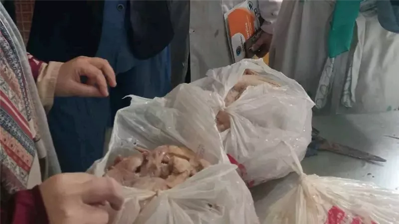ضبط 4 أطنان دجاج وكبدة غير صالحة للاستهلاك الآدمي في ميت غمر