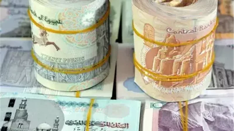 حصيلة تجارة النقد.. قرار بالتحفظ على 7 ملايين جنيه| تفاصيل