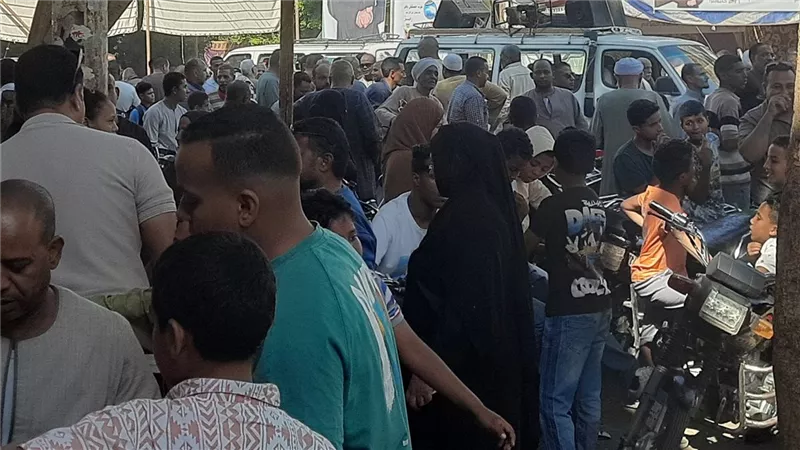دي جيه ورقص.. زحام أمام لجان انتخابات النواب في الأقصر |صور