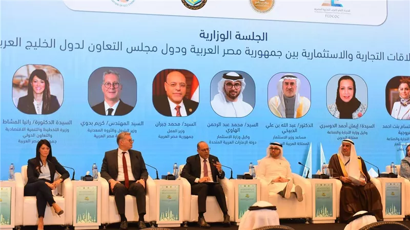 وزير العمل: القانون الجديد يتيح فرصا مرنة للعمل ويراعي المعايير الدولية