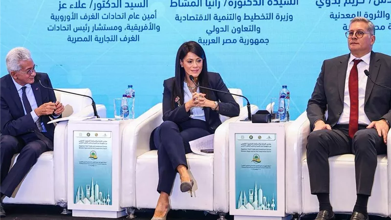 التخطيط: الاستثمارات الخليجية هي الأعلى في مصر ولدينا فرصًا واعدة