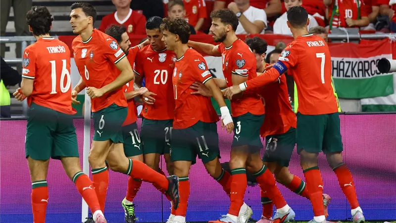 مصرع مشجع في مباراة البرتغال والمكسيك 