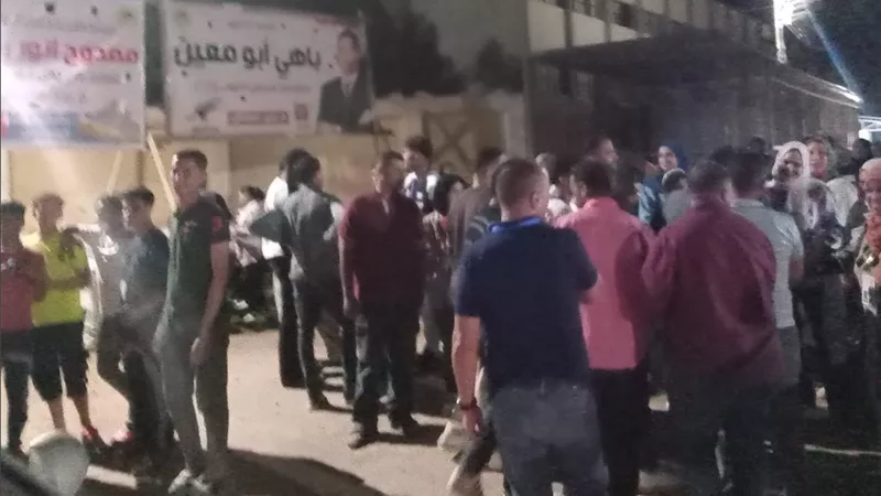 إقبال متزايد على لجان انتخابات النواب في الوادى الجديد | صور