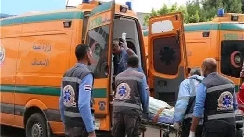 مصرع شابة صدمتها سيارة ربع نقل على طريق المنصورة الدائري