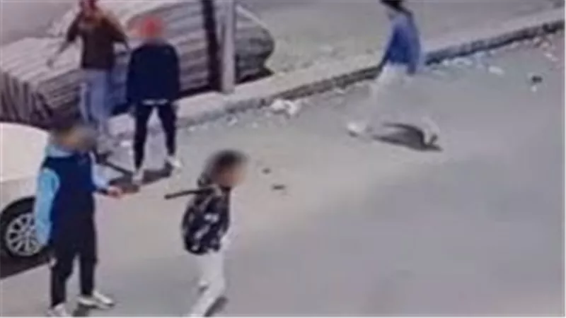 «الداخلية» تكشف ملابسات مشاجرة «الشارع المدرسي» في طنطا