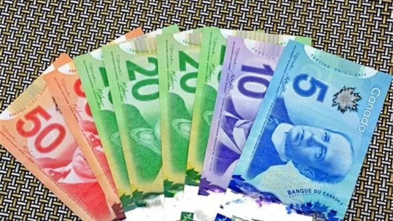 استقرار سعر الدولار الكندي أمام الجنيه عند 33.64 جنيه للبيع