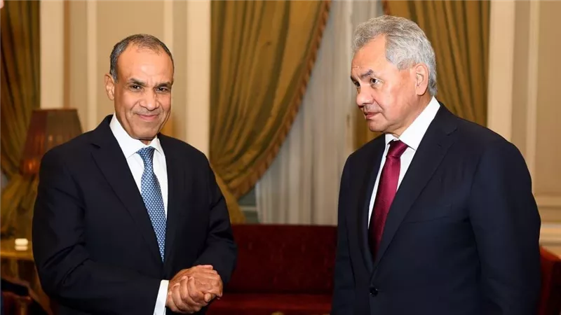 وزير الخارجية يبحث مع سكرتير مجلس الأمن الروسي تعزيز التعاون المشترك