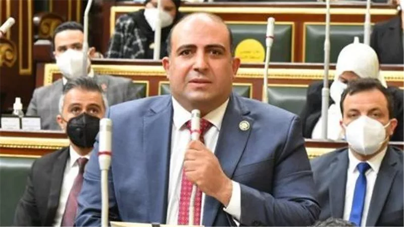 برلماني: مشاهد الإقبال الواسعة تُجسد وعيًا وطنيًا راسخًا