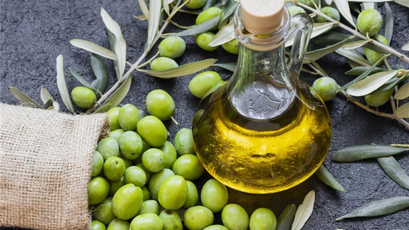 منها إطالة العمر .. فوائد زيت الزيتون البكر للصحة العامة
