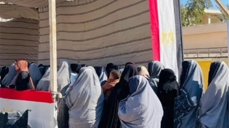 دليل التصويت في انتخابات مجلس النواب.. الخطوات وآليات الاقتراع الصحيحة