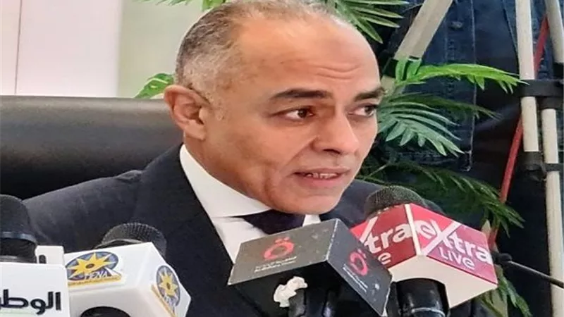 الهيئة الوطنية للانتخابات: الكثافة العالية سر شكاوى المواطنين |فيديو