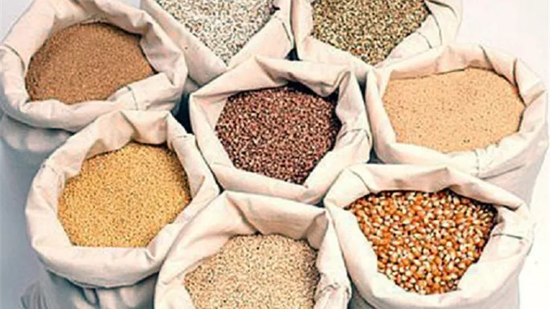 أسعار الأعلاف اليوم في مصر: ارتفاع الذرة البيضاء وانخفاض الصويا