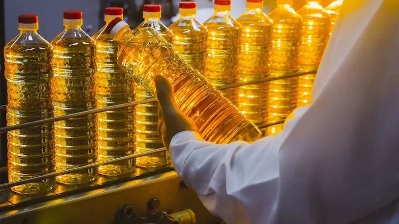 أسعار الزيت اليوم.. ارتفاعات وانخفاضات في السوق المحلية
