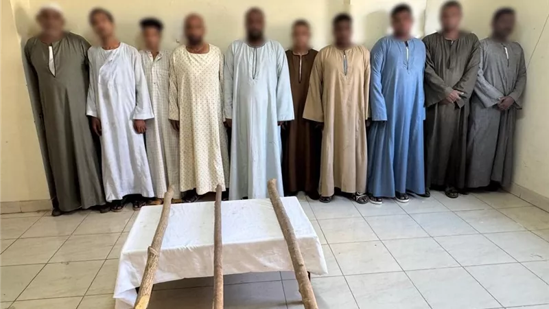 تفاصيل مشاجرة اللجان الانتخابية بين أنصار «مرشحين» في الأقصر